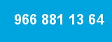 966 881 13 64